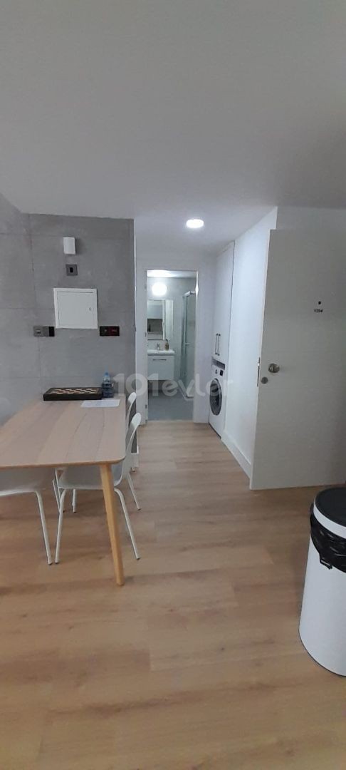 Fully furnished, sea view, LUXURY 1+1 flat for RENT in Iskele Bogaz