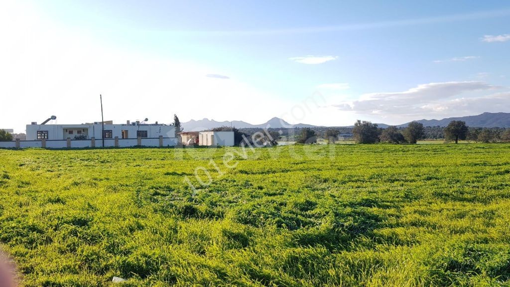 8 ACRES OF TURKISH KOCANLI FOR SALE ON ISKELE MEHMETÇIK ** 