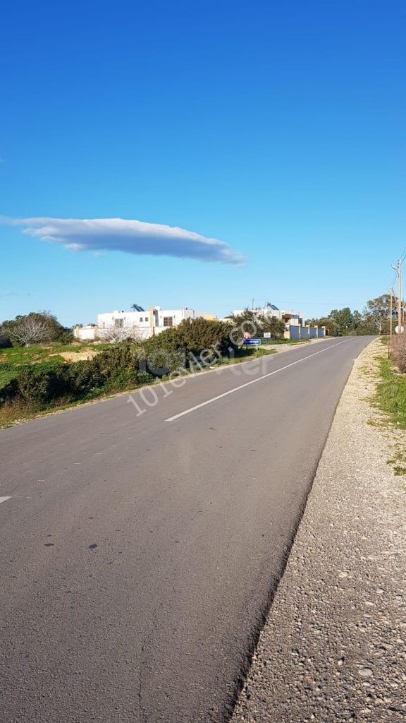 8 ACRES OF TURKISH KOCANLI FOR SALE ON ISKELE MEHMETÇIK ** 