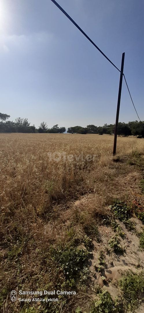 LAND WITH AN INTERESTING VIEW IN A SITE LOCATION IN KARAAĞAC