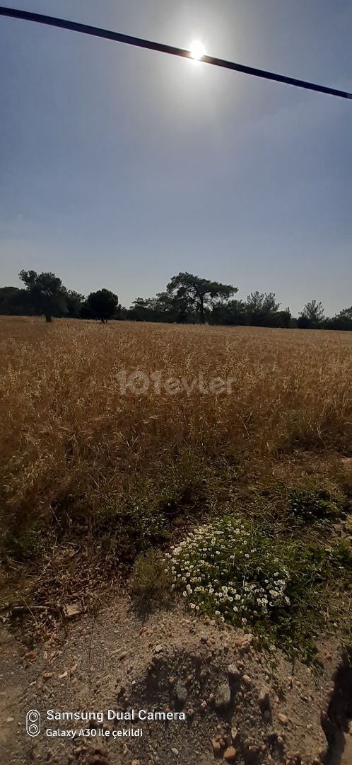 LAND WITH AN INTERESTING VIEW IN A SITE LOCATION IN KARAAĞAC