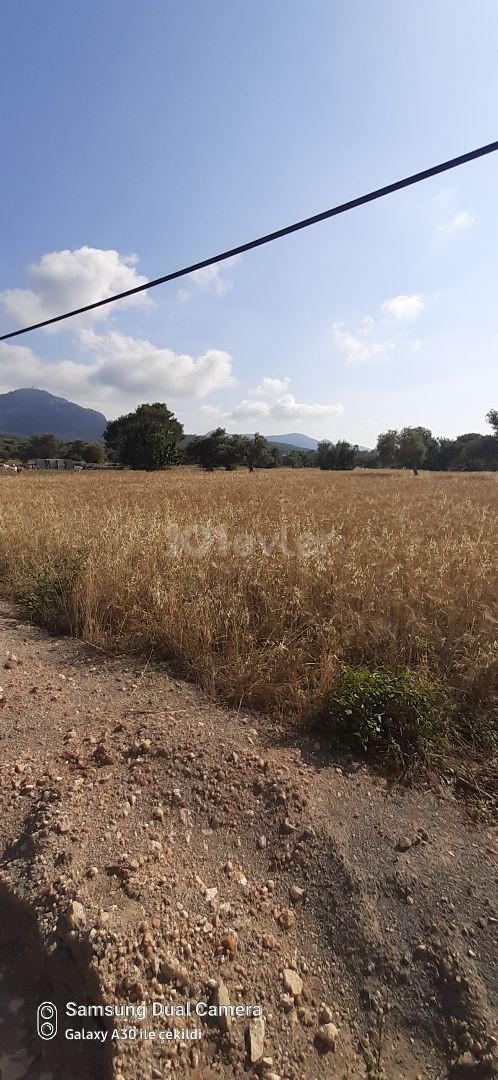 LAND WITH AN INTERESTING VIEW IN A SITE LOCATION IN KARAAĞAC