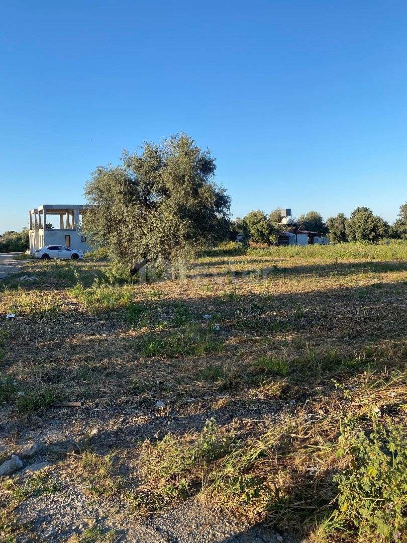 GIRNE OZANKÖY ZONED 1500 m2 LAND FOR SALE IN A PERFECT LOCATION