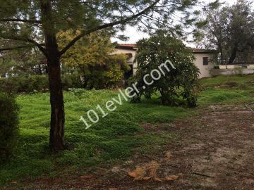 Detached House For Sale in Çatalköy, Kyrenia