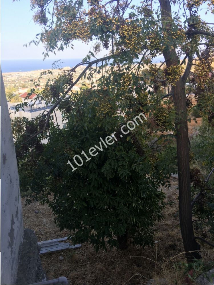 Detached House For Sale in Lapta, Kyrenia