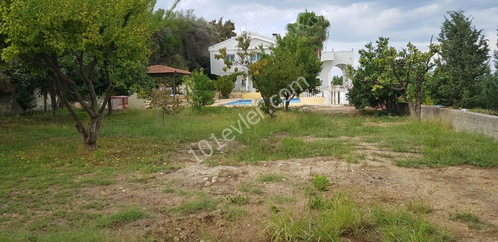 Girne bellapais de satılık muhteşem villa