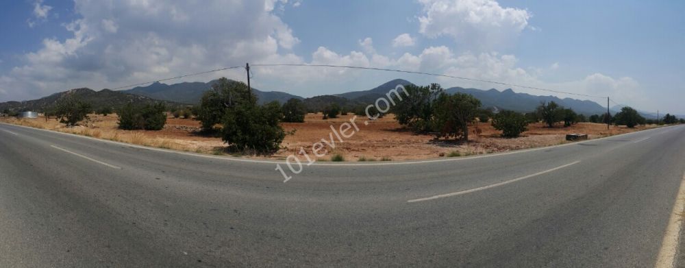 Girne Tatlısu  anayolu üzerinde satılık tarla