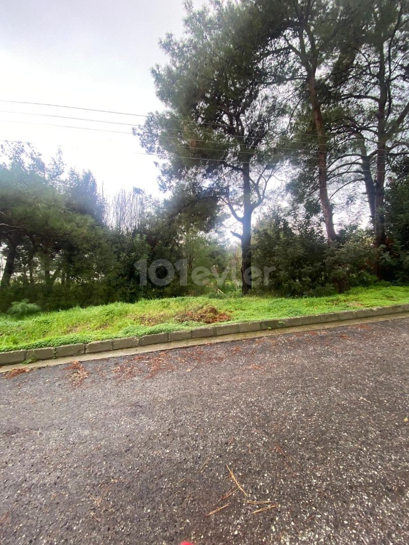 807 m2 land with Turkish title for sale in Ağırdağ Boğaz Region