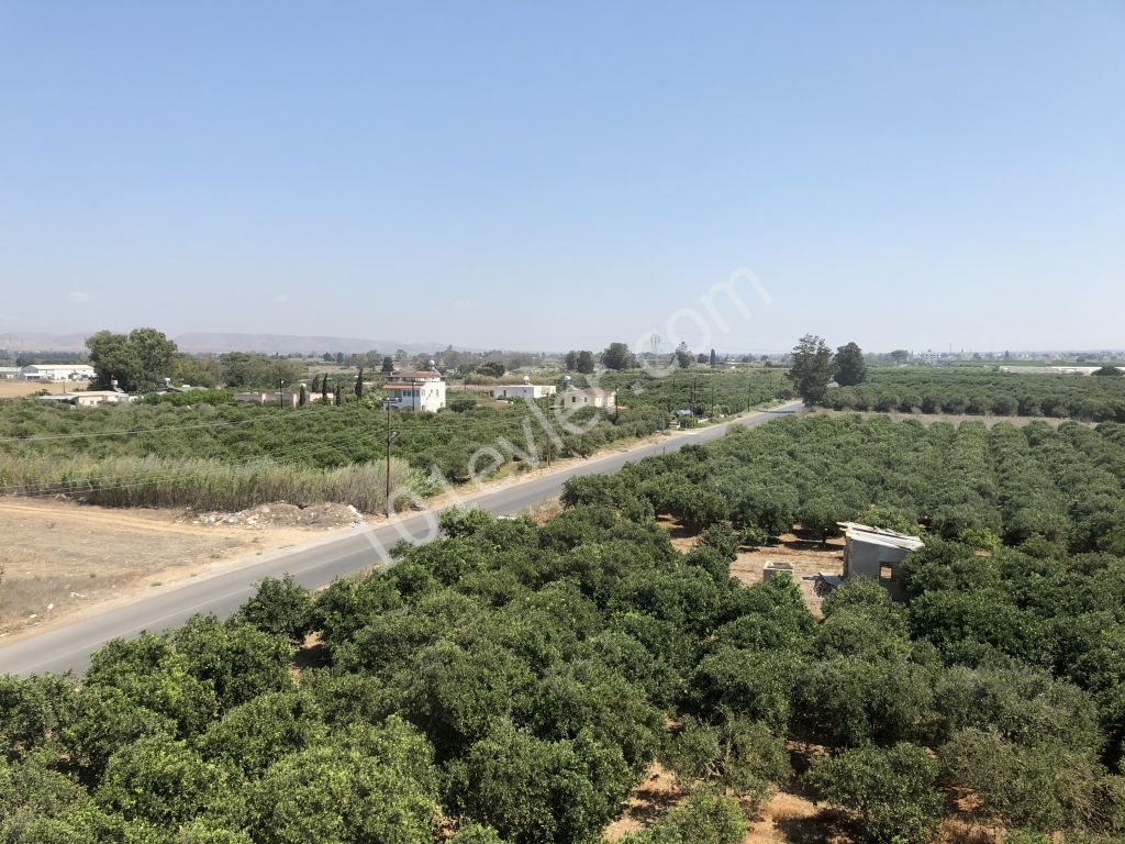 Eben Mieten in Güzelyurt Merkez, Guzelyurt