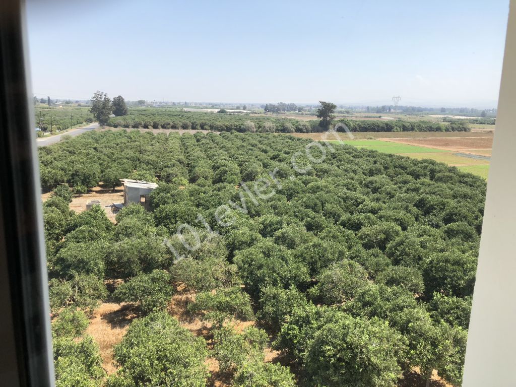 Eben Mieten in Güzelyurt Merkez, Guzelyurt