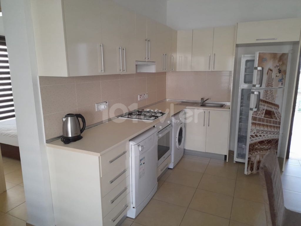 1+1 furnished 450 stg near Lawash