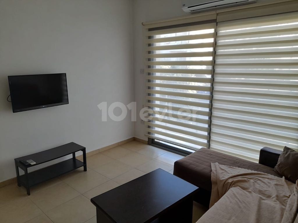 1+1 furnished 450 stg near Lawash