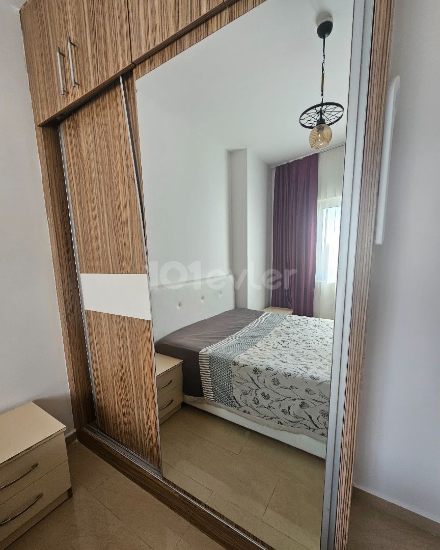 2+1 clean flat in Alasya park.