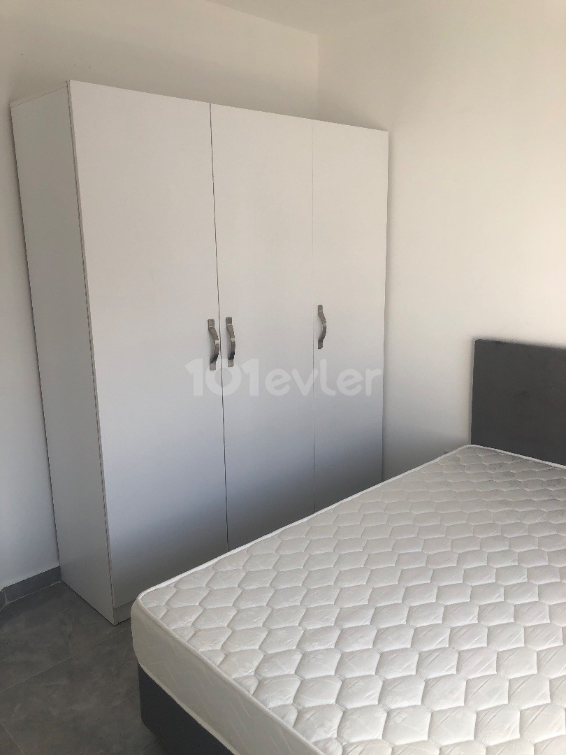 1+1  kiralık daire