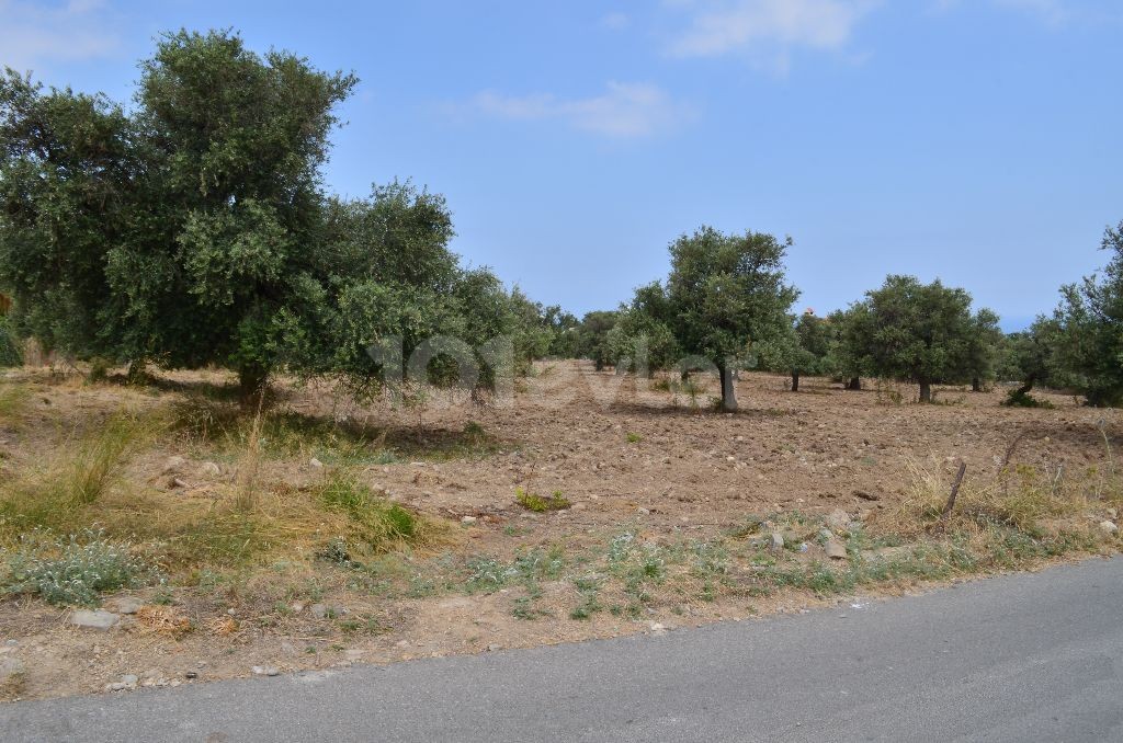 Residential Zoned Plot For Sale in Ozanköy, Kyrenia