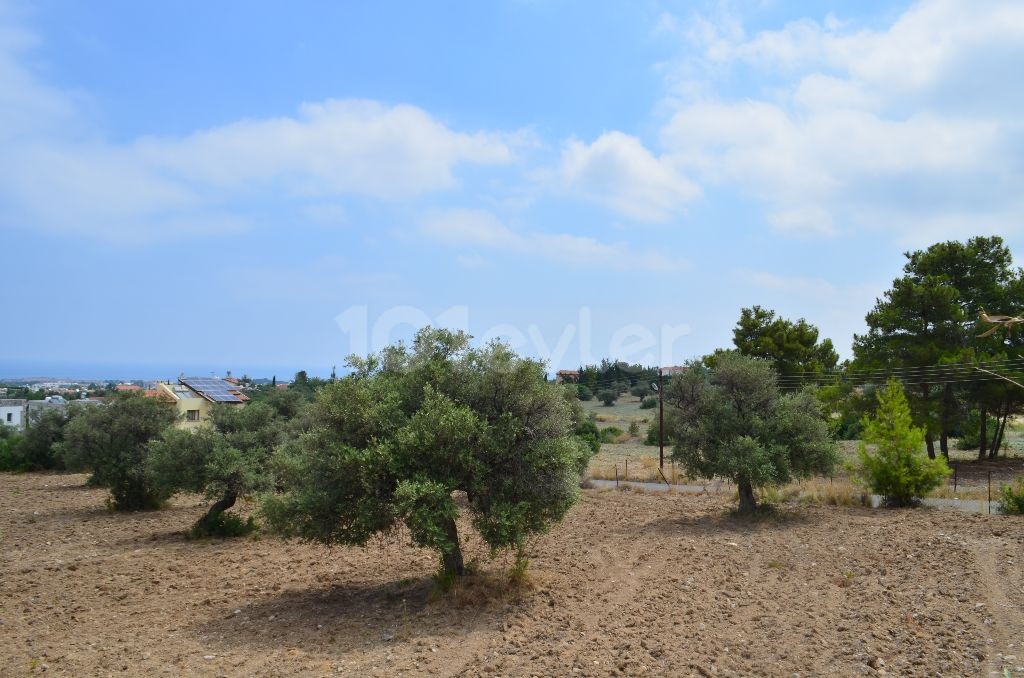 Residential Zoned Plot For Sale in Ozanköy, Kyrenia