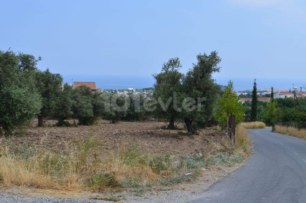 Residential Zoned Plot For Sale in Ozanköy, Kyrenia