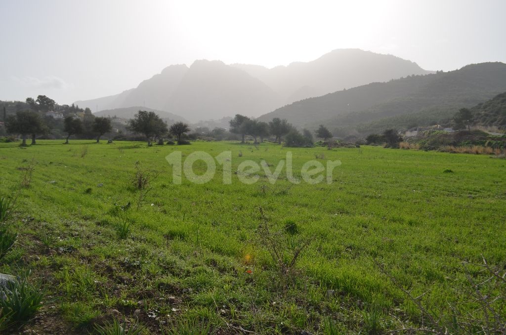 Residential Zoned Plot For Sale in Alsancak, Kyrenia