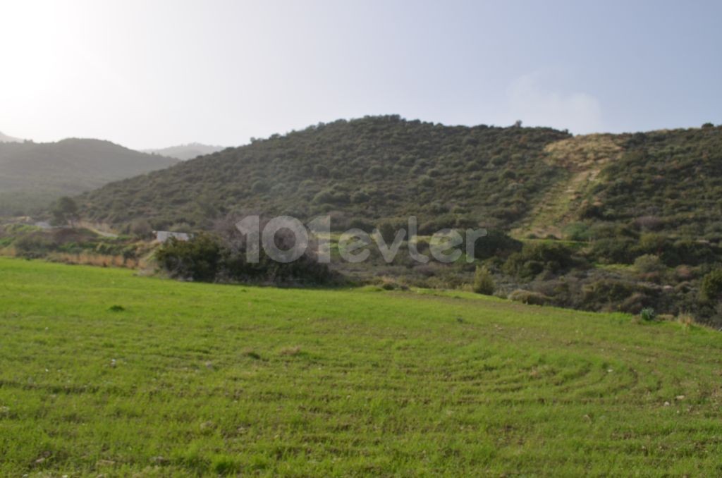 Residential Zoned Plot For Sale in Alsancak, Kyrenia