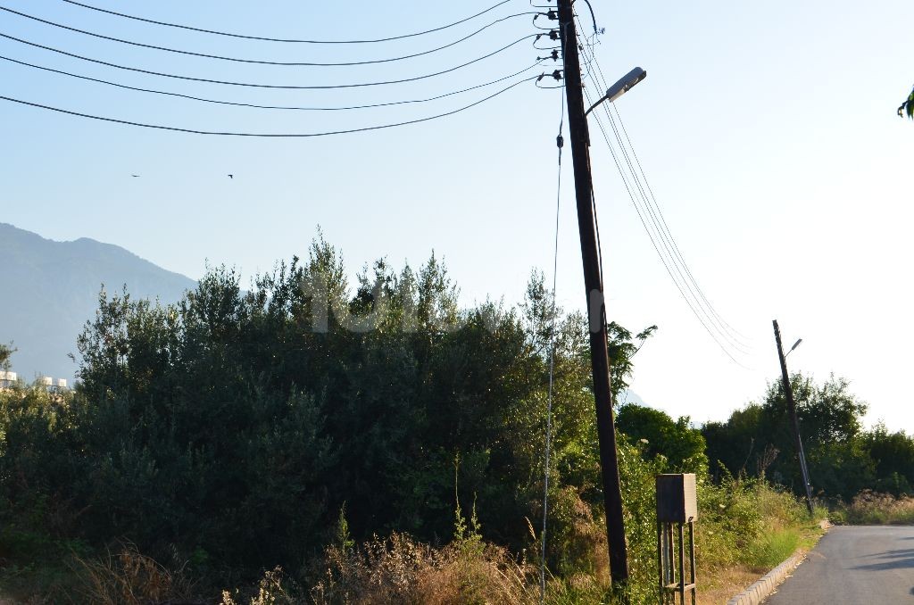 Residential Zoned Plot For Sale in Alsancak, Kyrenia