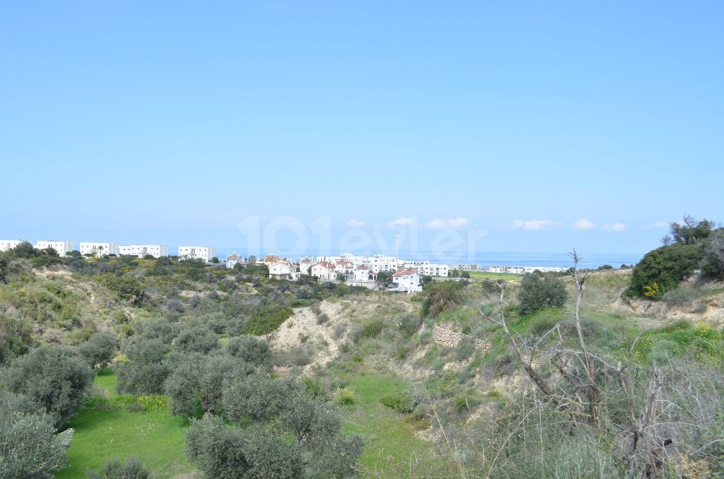 Field For Sale in Bahçeli, Kyrenia