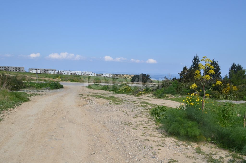 Field For Sale in Bahçeli, Kyrenia