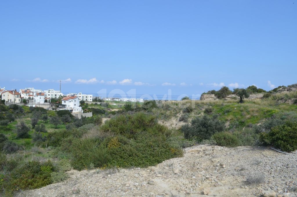 Field For Sale in Bahçeli, Kyrenia