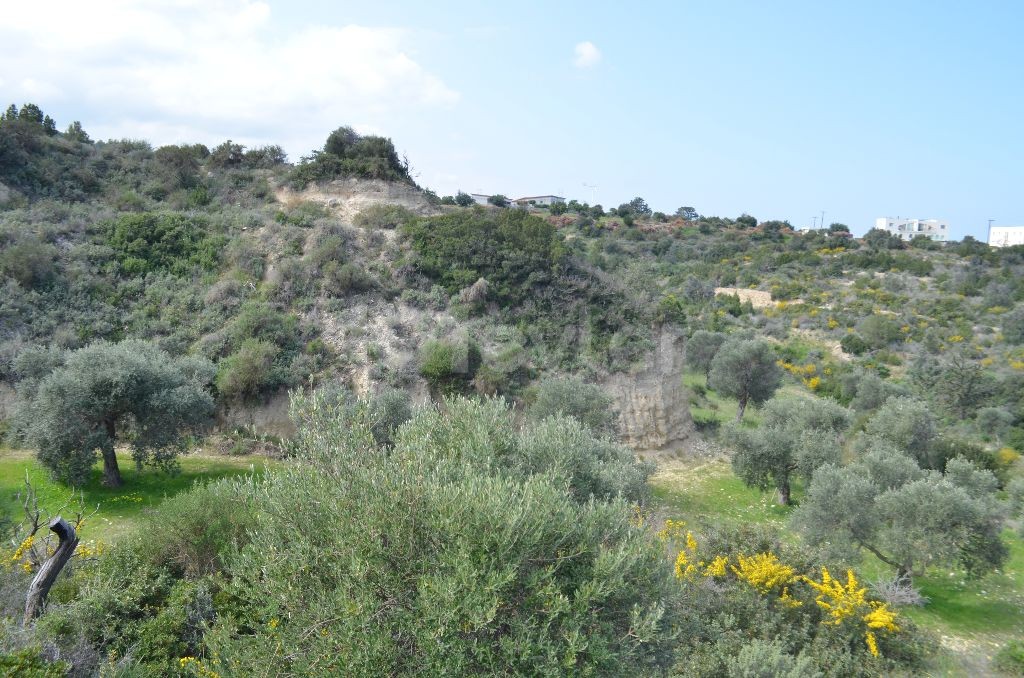 رشته برای فروش in Bahçeli, گیرنه