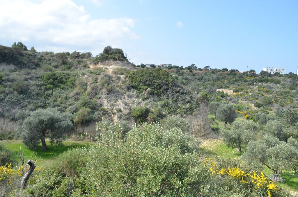 Feld Kaufen in Bahçeli, Kyrenia