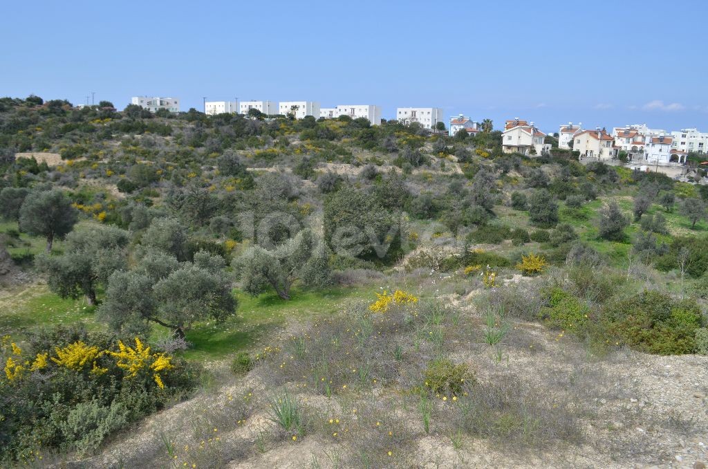 رشته برای فروش in Bahçeli, گیرنه