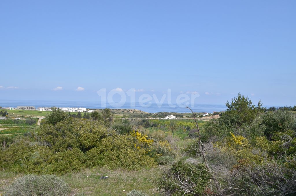 Field For Sale in Bahçeli, Kyrenia