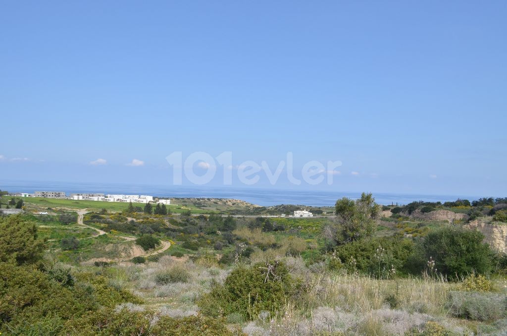 Field For Sale in Bahçeli, Kyrenia