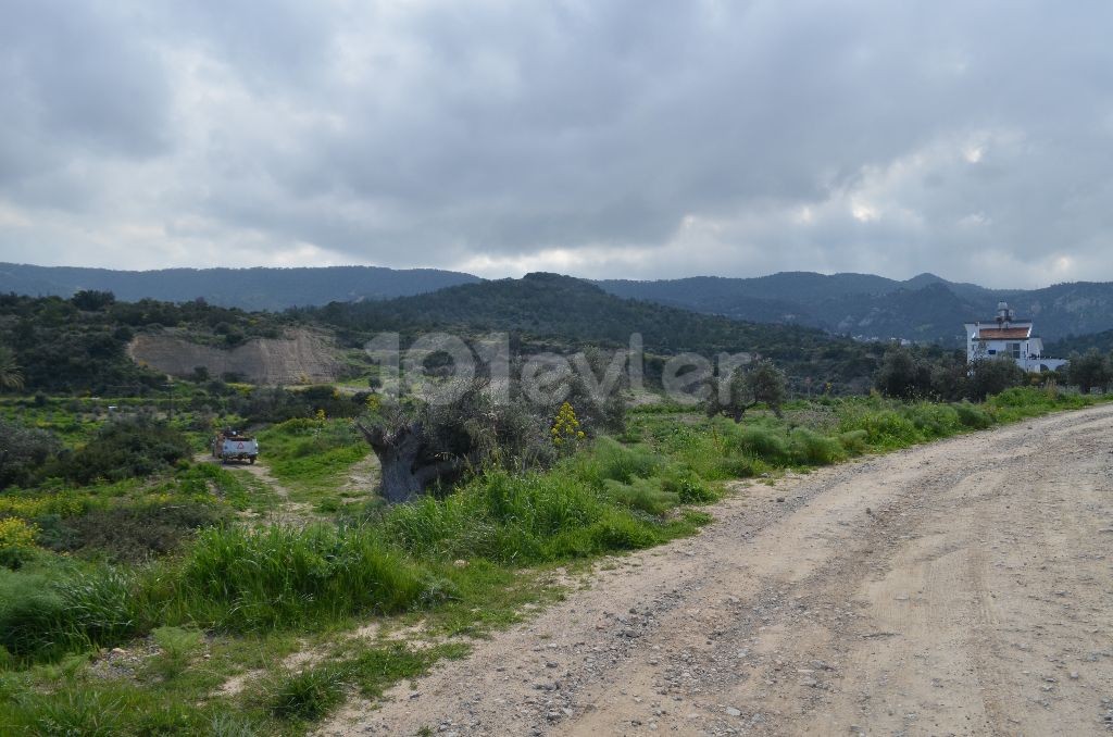 رشته برای فروش in Bahçeli, گیرنه