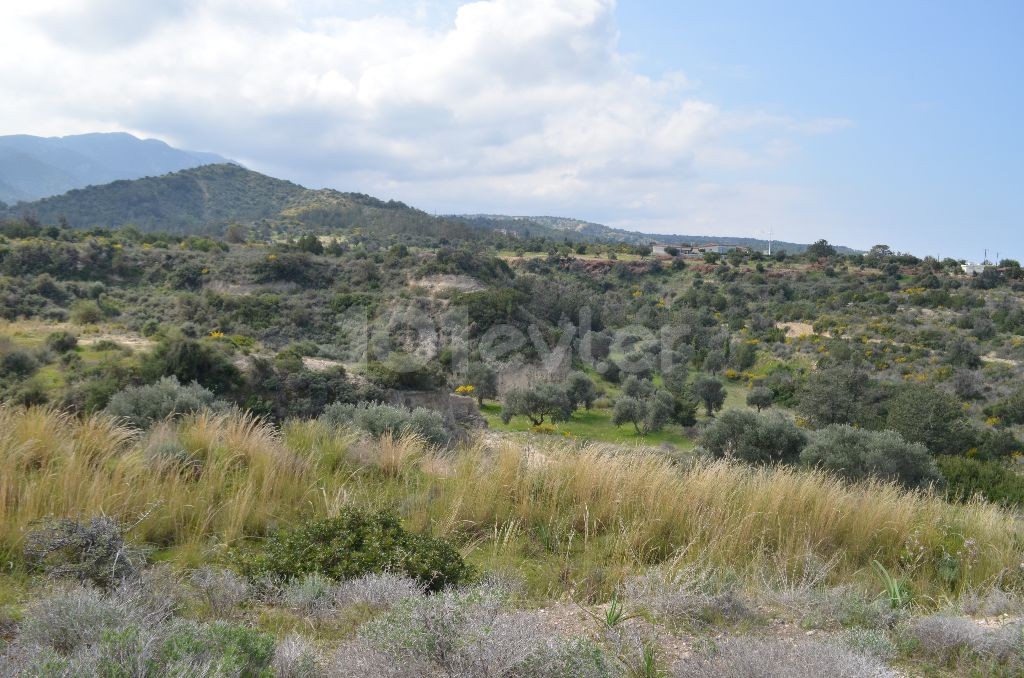 رشته برای فروش in Bahçeli, گیرنه