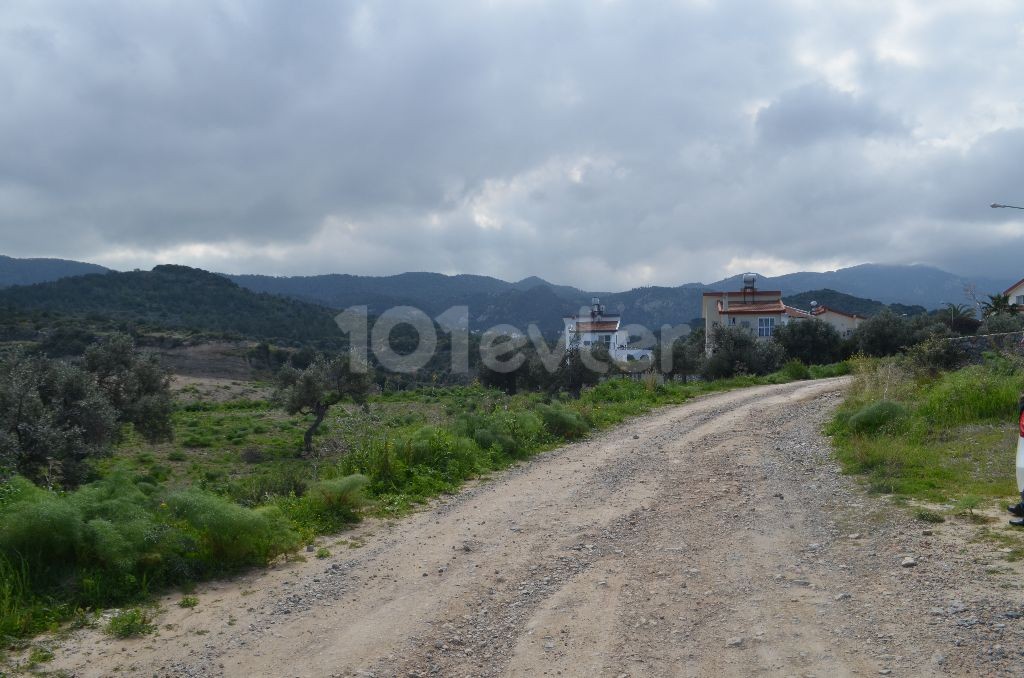 رشته برای فروش in Bahçeli, گیرنه