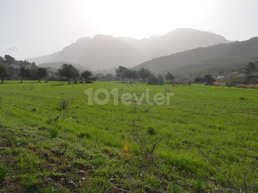 A plot of land for sale in Kyrenia Als Decak ** 