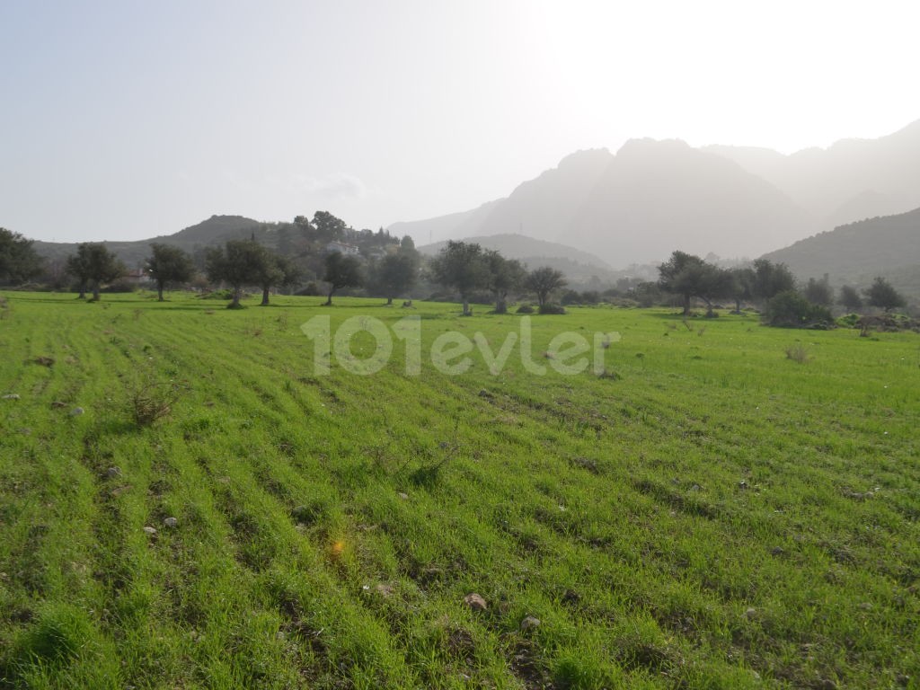 A plot of land for sale in Kyrenia Als Decak ** 