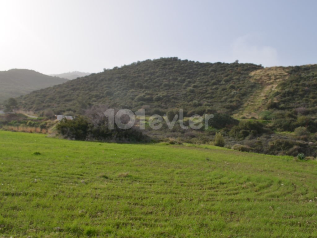 A plot of land for sale in Kyrenia Als Decak ** 