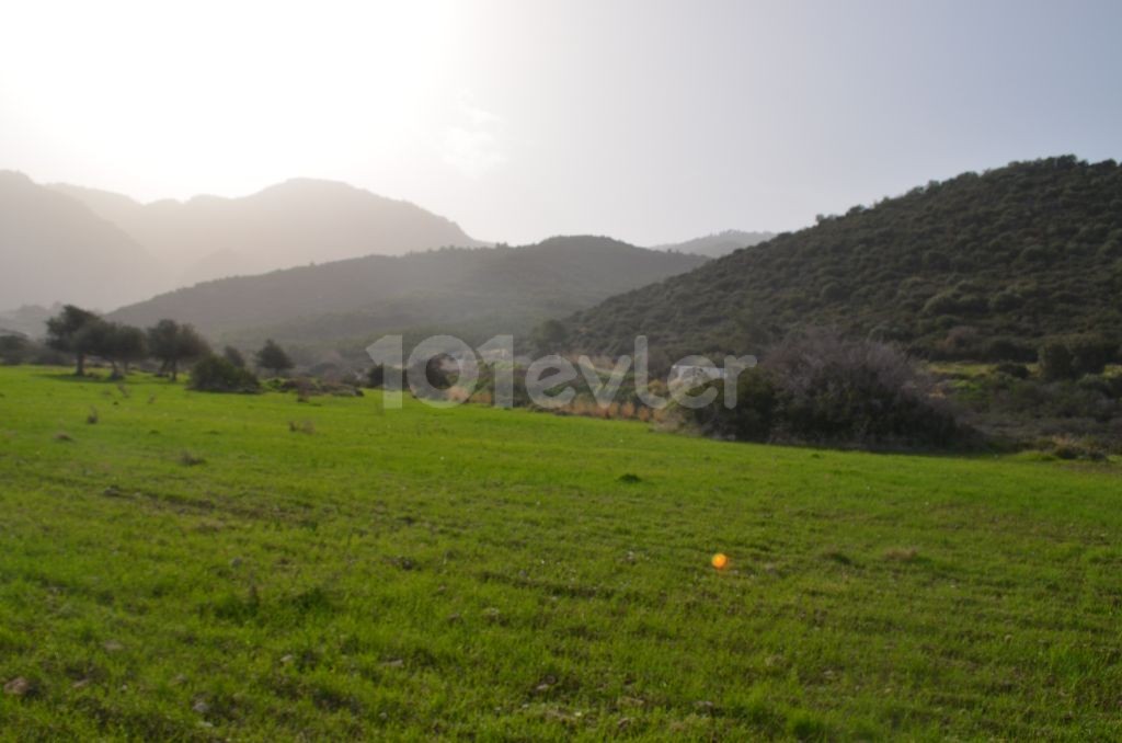 Field For Sale in Alsancak, Kyrenia