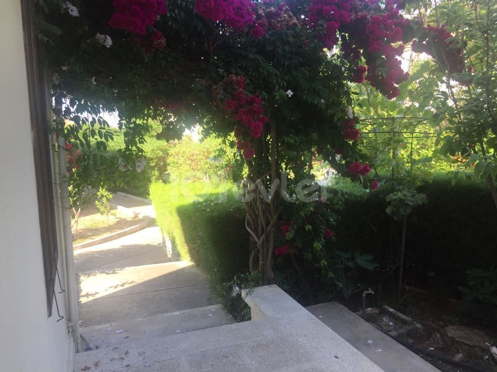 Semi Detached To Rent in Edremit, Kyrenia