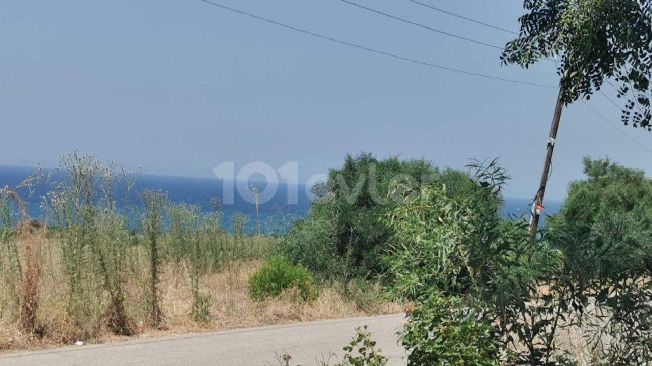 OLD RESTAURANT AND LAND IN YENI ERENKOY, ZERO TO THE SEA