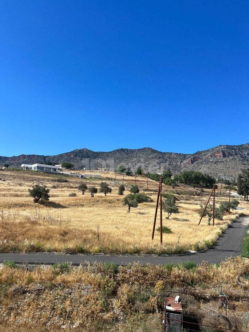 منطقه مسکونی برای فروش in Dikmen, گیرنه