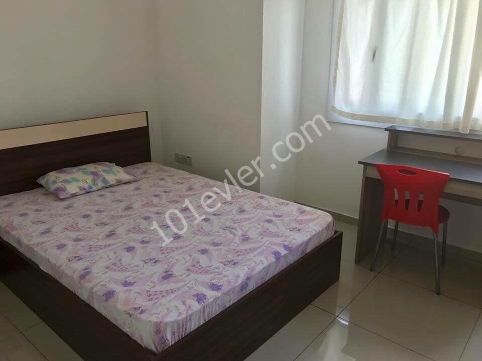 Hamitköy de full eşyalı yıllık ödemeli öğrenciye kiralık 2+1 daire