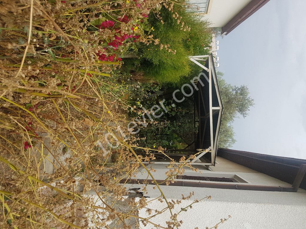 Detached House For Sale in Gelibolu, Nicosia