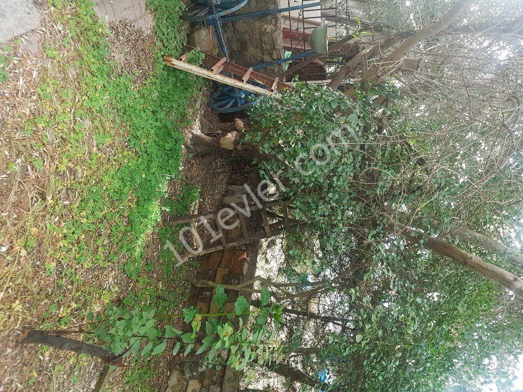 Einfamilienhaus Kaufen in Gelibolu, Nikosia