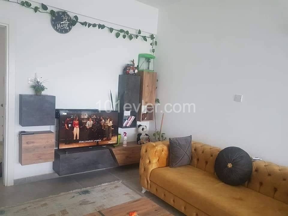 Haspolat Belediye evlerinde full eşyalı kiralık 2+1 daire