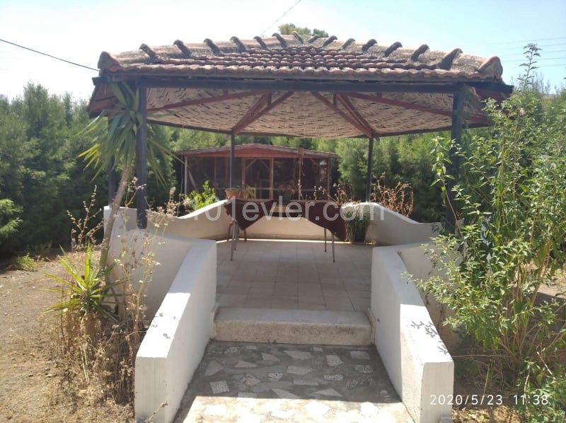 Detached House For Sale in Aşağı Bostancı, Guzelyurt