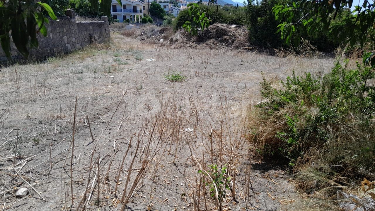 995 m2 Plot with Turkish title right in the middle of Ozanköy