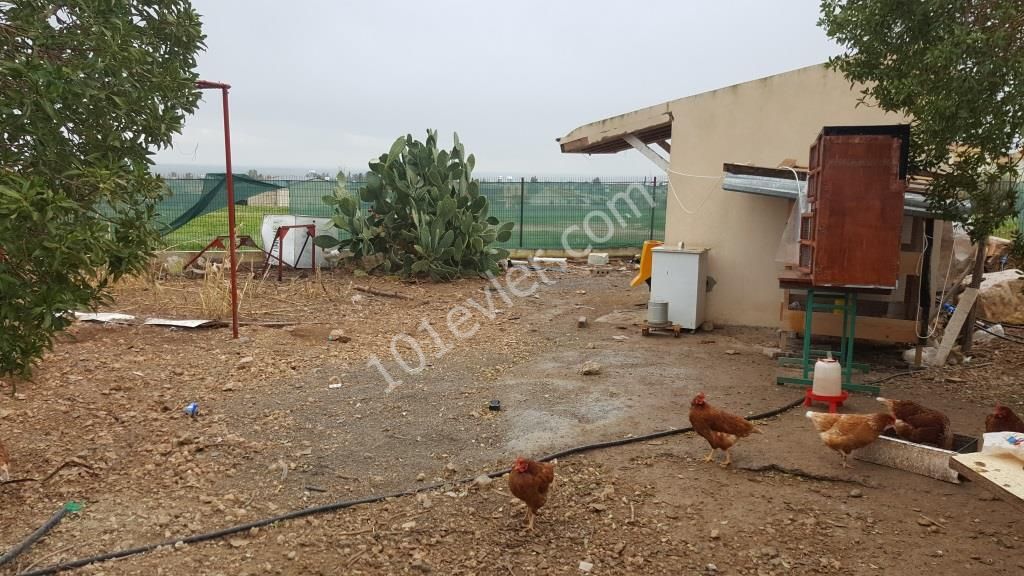 Villa Kaufen in Serdarlı, Famagusta