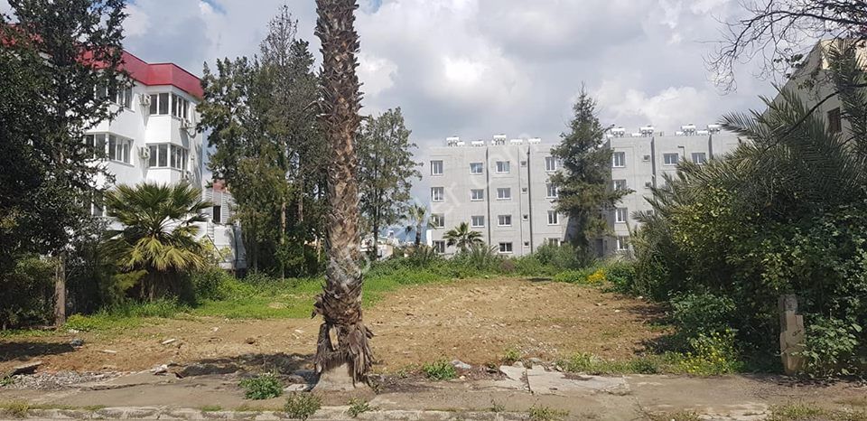 Lefkoşa, Gönyeli'de ana caddeye yürüme mesafesinde,12.000 ay Büyüklügün de ( 20 DAİRELİK TÜM PROJESİ  ÖDENMİŞ VE ONAYLANMIŞ )Türk malı arsamız 4 kat imar izniyle apartman yapımına müsait. Büyük yatırım fırsatını kaçırmamak için bizi arayınız.  Detaylı bilgi için; 